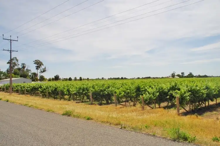 Second view of Homely rural property listing, 452 Chowilla Street, Renmark SA 5341