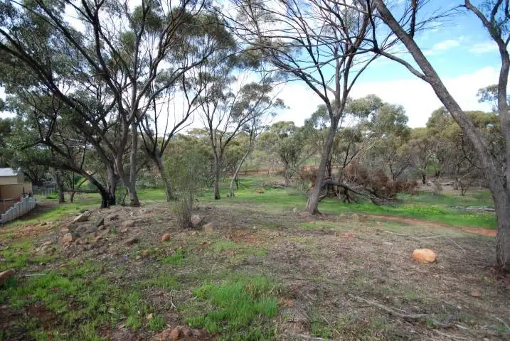 Seventh view of Homely land listing, 58 Pitt Street, Pingelly WA 6308