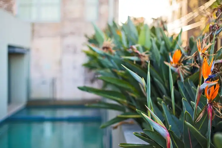 Fifth view of Homely apartment listing, 404/11-23 Gordon Street, Marrickville NSW 2204
