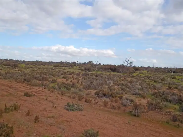 Fifth view of Homely rural property listing, L2559 Great Southern Highway, Piesseville WA 6315