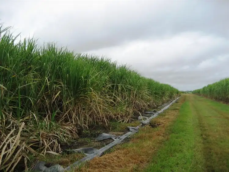 Fourth view of Homely rural property listing, Address available on request