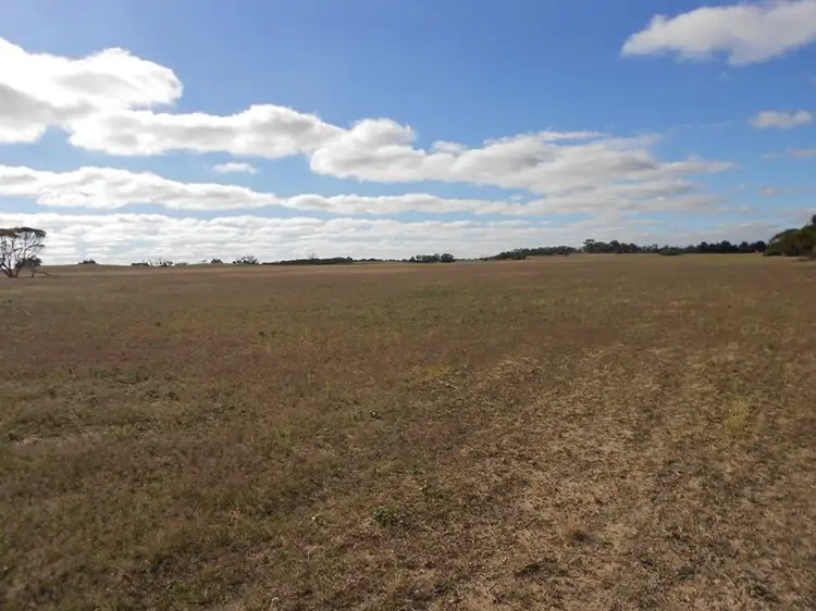 Fifth view of Homely rural property listing, 966 Pine Hill Road, Bordertown SA 5268