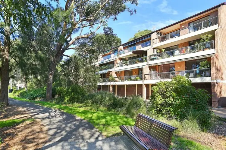 Main view of Homely apartment listing, 14/14 Leichardt Street, Glebe NSW 2037