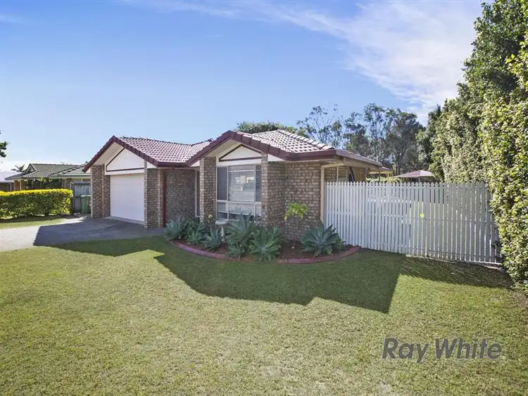 Main view of Homely house listing, 20 Riley Drive, Capalaba QLD 4157