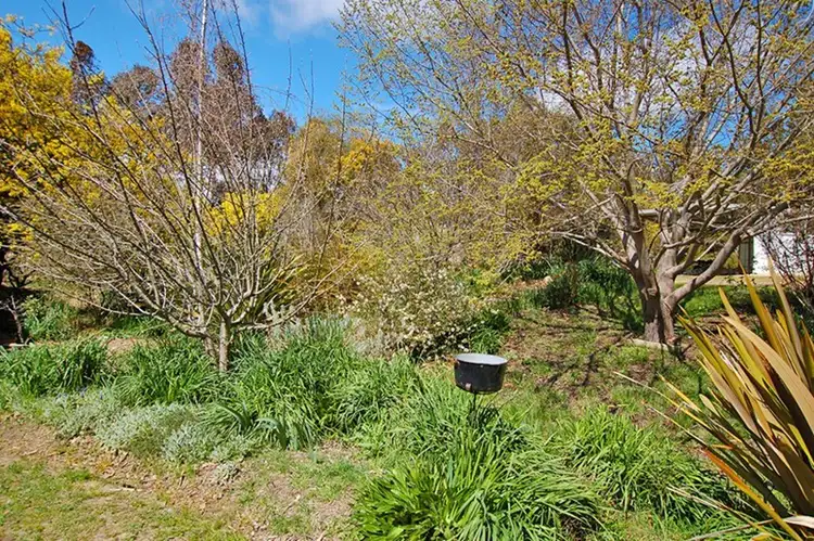 Sixth view of Homely rural property listing, 1468 Norton Road, Bywong NSW 2621