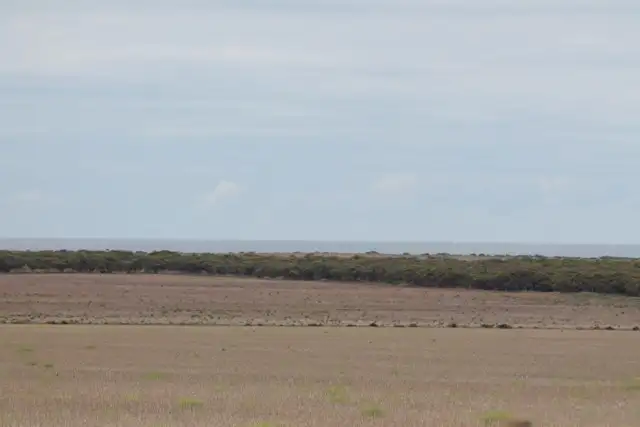 Fifth view of Homely rural property listing, Section 19 Hundred of Hawker, Cowell SA 5602
