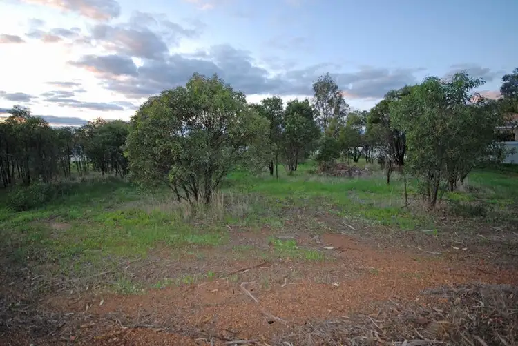 31 Fox Street, Narrogin WA 6312