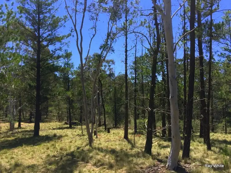 Seventh view of Homely rural property listing, 160 Nerriga Road, Braidwood NSW 2622