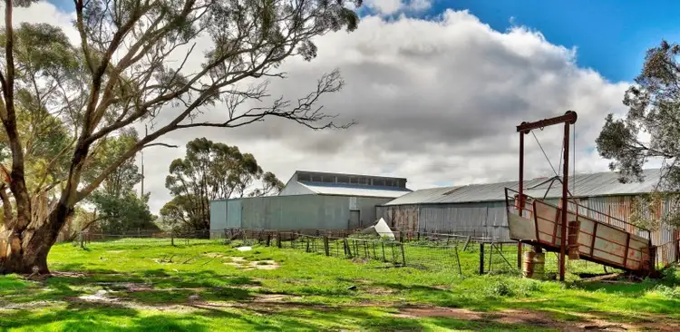 Seventh view of Homely rural property listing, "The Ridge" Barrier Highway, Manoora SA 5414