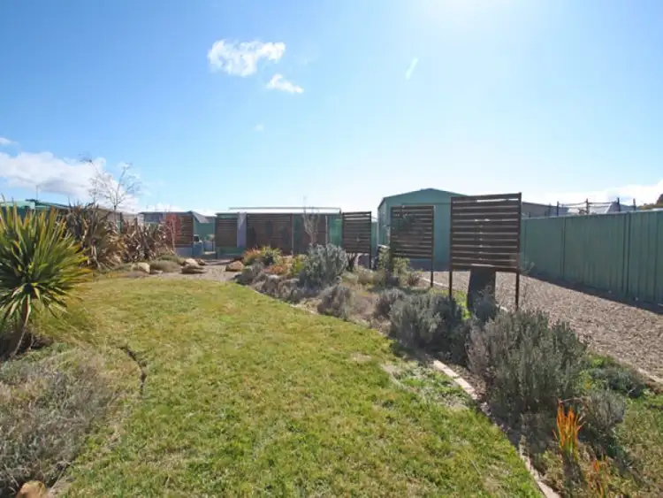 Fourth view of Homely house listing, 12 McMahon Drive, Bungendore NSW 2621
