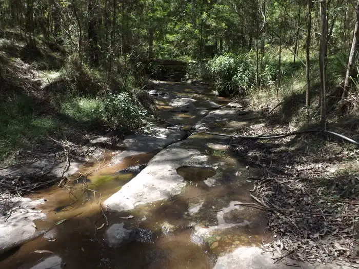 Second view of Homely rural property listing, Lot 142 Mount Royal Road, Singleton NSW 2330