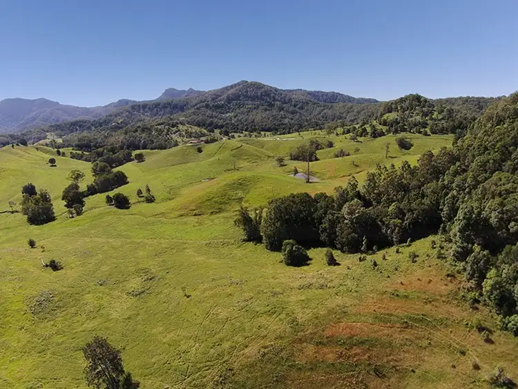 Fourth view of Homely rural property listing, 491 Nobbys Creek Road, Nobbys Creek NSW 2484