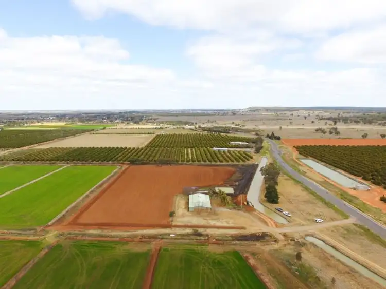 Third view of Homely rural property listing, Farm 1653A Rankins Springs Road, Beelbangera NSW 2680