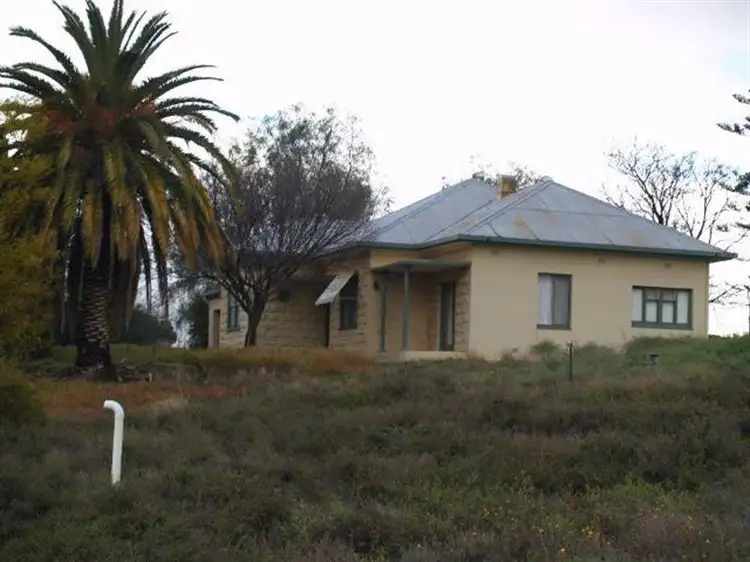 Fourth view of Homely rural property listing, 21109 Kingston Loxton Road, Loxton SA 5333