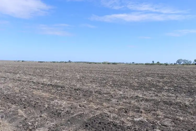 351 Yarranlea Road, Pittsworth QLD 4356
