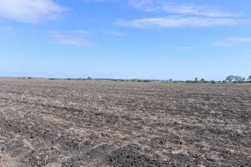 Main view of Homely rural property listing, 351 Yarranlea Road, Pittsworth QLD 4356