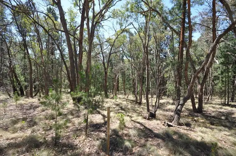 Third view of Homely land listing, Lot 1 Glenelg Highway, Linton VIC 3360