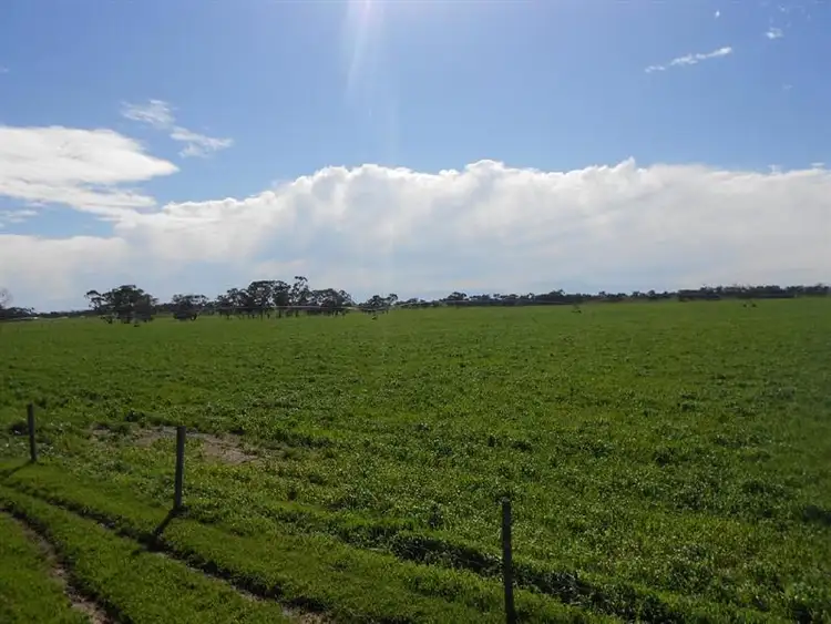 Fifth view of Homely rural property listing, 2134 Naracoorte Road, Bordertown SA 5268
