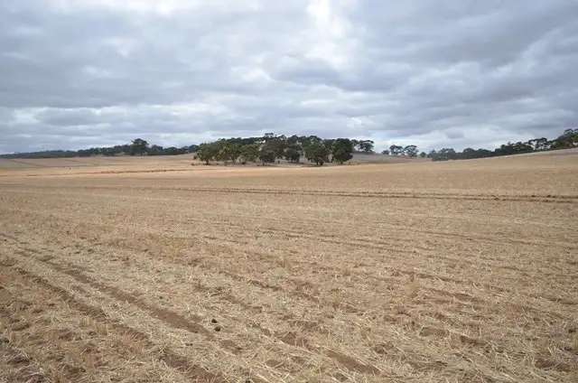 Third view of Homely rural property listing, "NJ's" Tarnma Road, Marrabel SA 5413