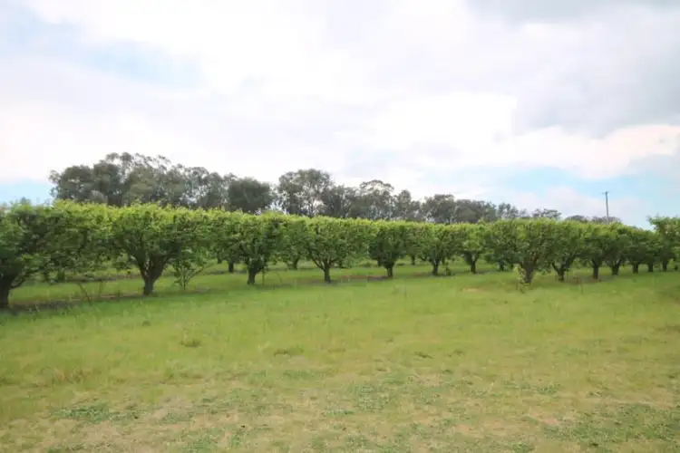 Fourth view of Homely land listing, 189 Jasprizza Lane, Young NSW 2594