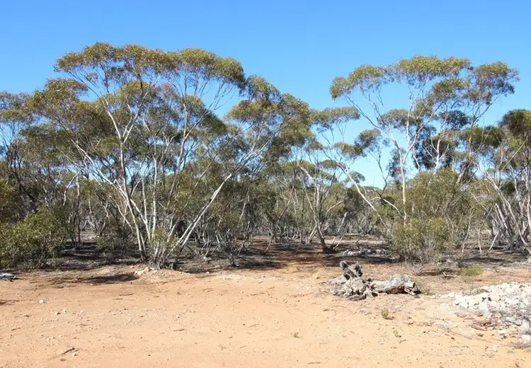 Fifth view of Homely rural property listing, Lot 6 Boolgun Road, Boolgun via, Waikerie SA 5330