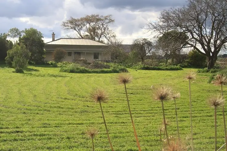 Fifth view of Homely rural property listing, 31 Lange Road, Yahl SA 5291