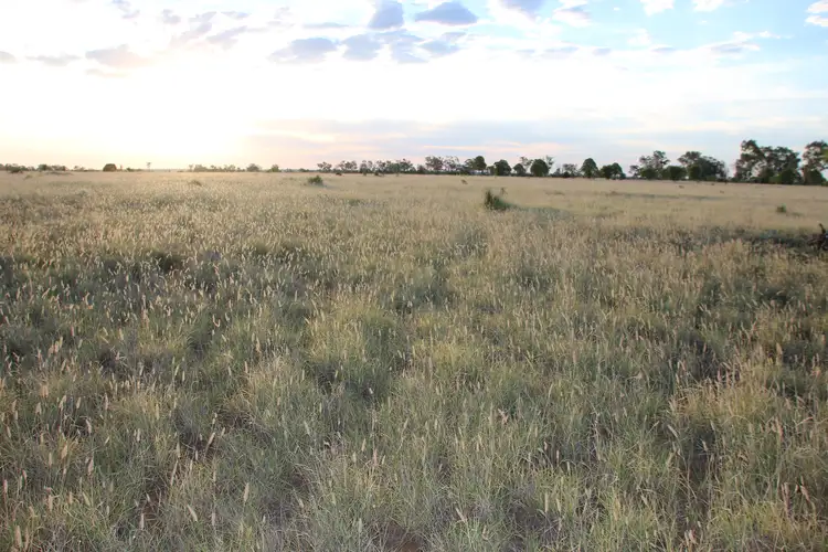 Fifth view of Homely rural property listing, 0 BURRADOO, Roma QLD 4455