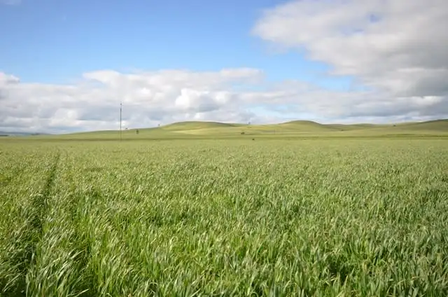 Fifth view of Homely land listing, Lot 644 Penshurst Road, Booborowie SA 5417