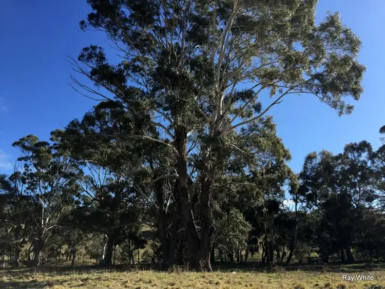 Seventh view of Homely rural property listing, 1838 1840 Cooma Road, Braidwood NSW 2622