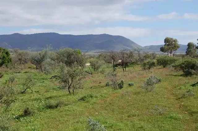 352 Schmidt Road, Quorn SA 5433
