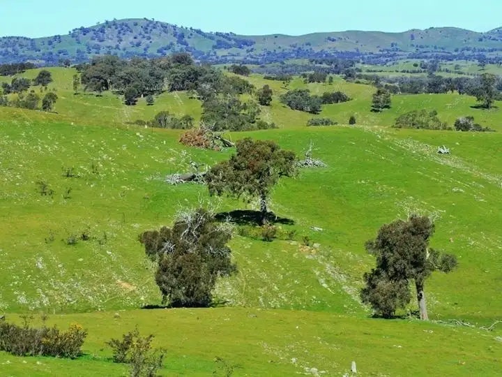 Third view of Homely rural property listing, Lots 1-6, 50 Loeman Road, Tooborac VIC 3522