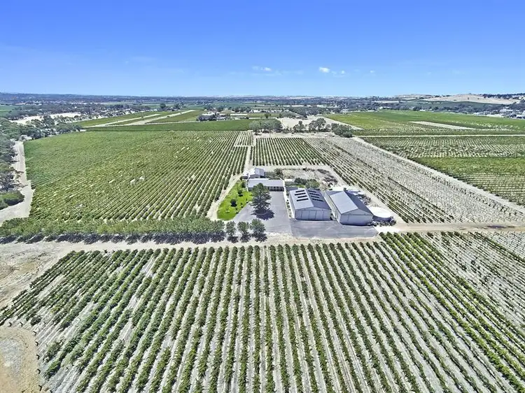 Main view of Homely house listing, 733B Light Pass Road, Angaston SA 5353