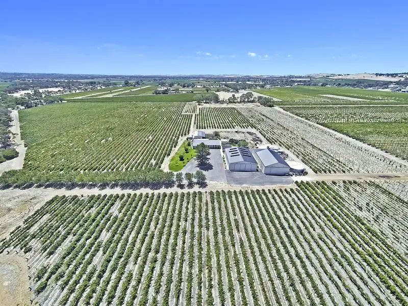 Main view of Homely house listing, 733B Light Pass Road, Angaston SA 5353