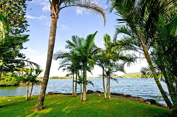 Main view of Homely house listing, 196/37 Chinderah Bay Drive, Chinderah NSW 2487