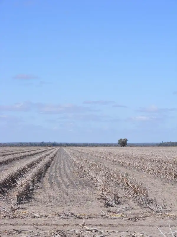 Seventh view of Homely rural property listing, Address available on request