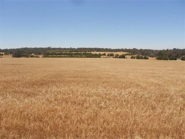 Main view of Homely rural property listing, L2585 South Glencoe, Katanning WA 6317