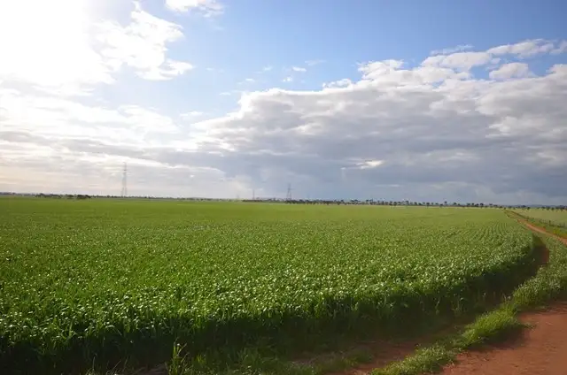 Fourth view of Homely rural property listing, "Welkes" Lakeview Road, Brinkworth SA 5464