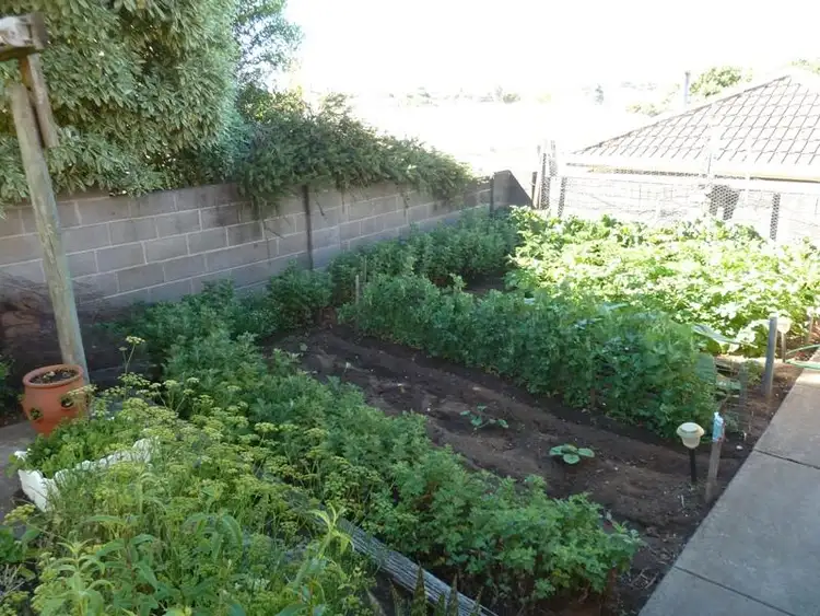 Second view of Homely house listing, 6 Felicia Street, Mount Gambier SA 5290