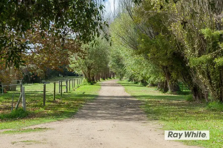 45 Sandy Road, Fingal VIC 3939