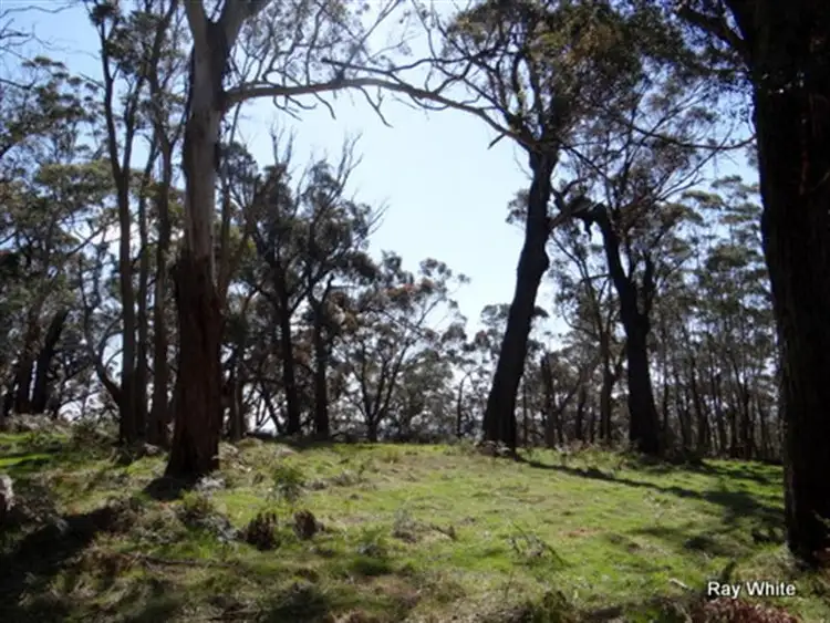 Sixth view of Homely rural property listing, 105 Kings Highway, Braidwood NSW 2622