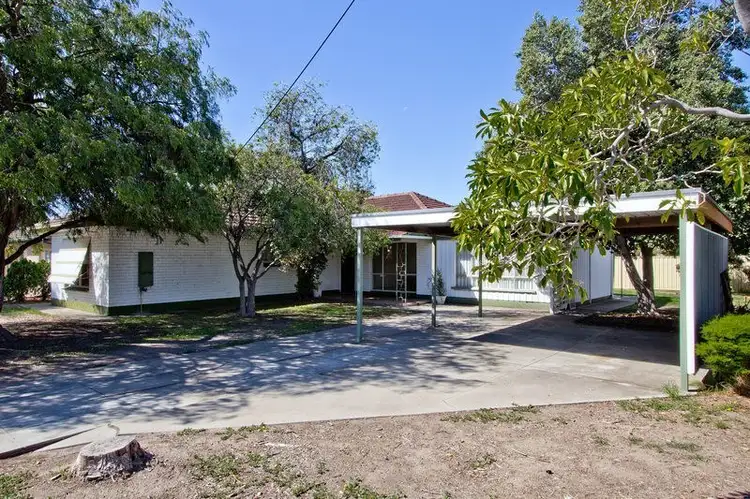 Main view of Homely house listing, 20 Wentworth Street, Lockleys SA 5032