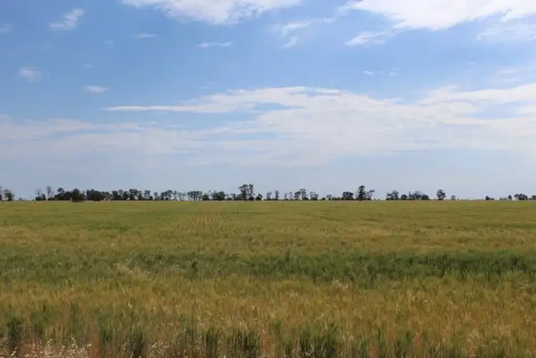 Second view of Homely rural property listing, " Part Kyona", Moree NSW 2400