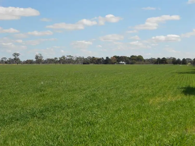 255 Wagenknecht Road, Bordertown SA 5268