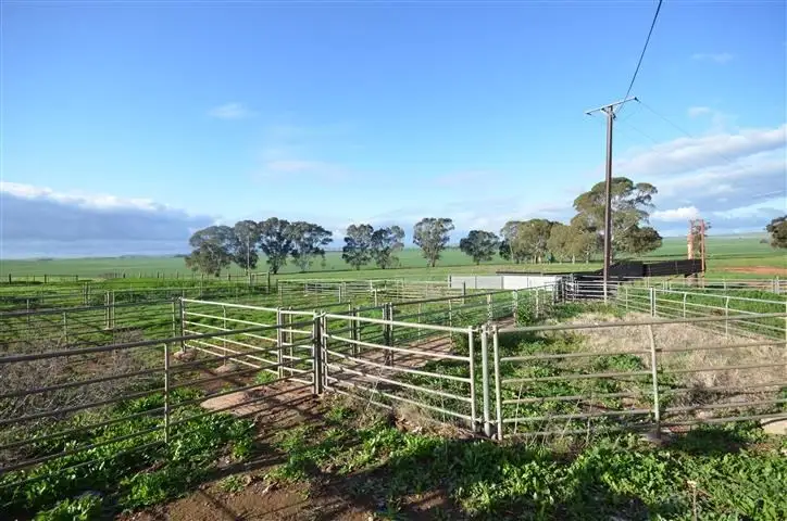 Fifth view of Homely rural property listing, "Wandowie" Pipeline Road, Leighton SA 5417