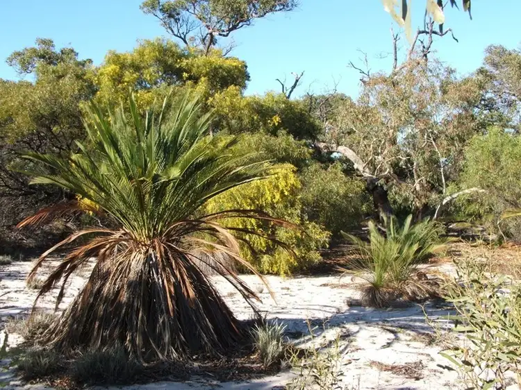 Third view of Homely rural property listing, Lot 513 Cockleshell Gully Road, Jurien Bay WA 6516