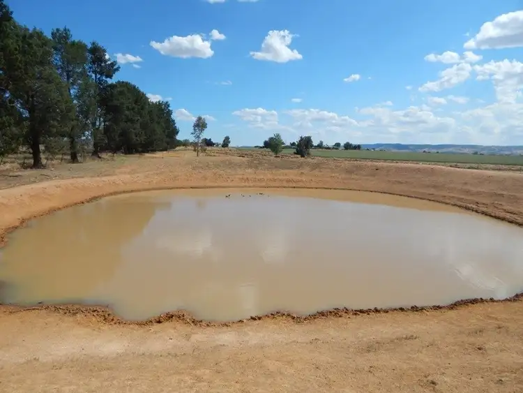 Fourth view of Homely rural property listing, 6138 Olympic Way, Cowra NSW 2794