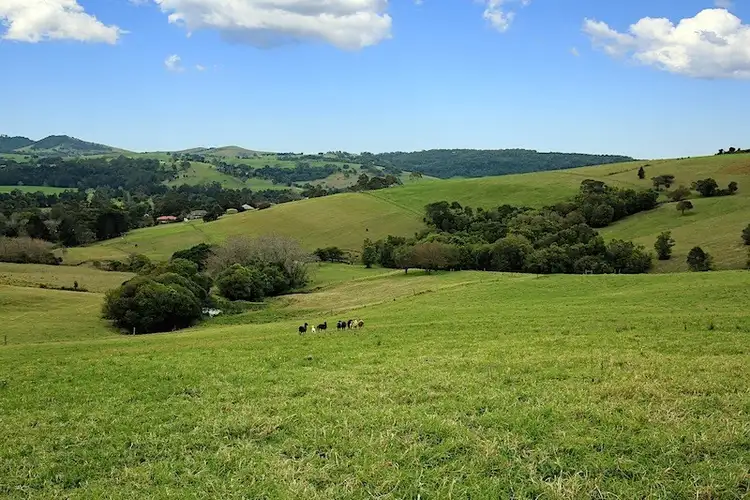Fifth view of Homely rural property listing, Lot 2 Wallaby Hill Road, Jamberoo NSW 2533