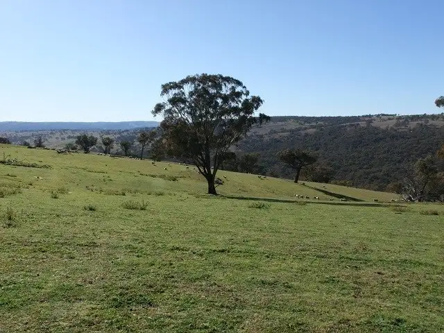 Second view of Homely rural property listing, Address available on request