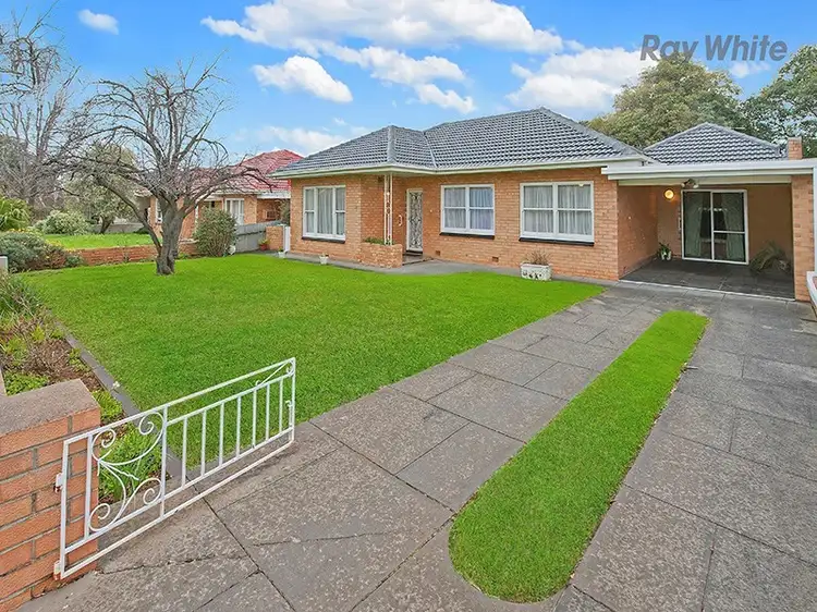 37 Pine Avenue, Warradale SA 5046