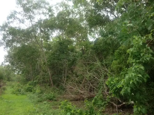 Fifth view of Homely land listing, Lot 3125 82 Zuleika Road, Dundee Beach NT 840